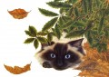 gato y hojas